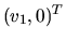 $(v_1 , 0 )^T$
