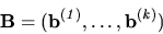 \begin{displaymath}
{
{\bf B=(b^{(\it 1)} ,\dots , b^{(\it k)})}
}
\end{displaymath}